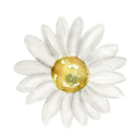 lovingdermsolution.com favicon